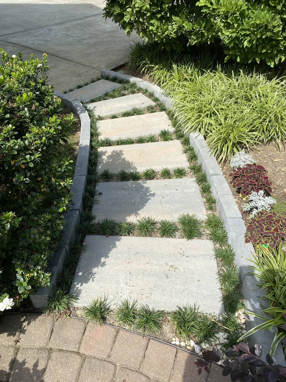Large stepping stones winding between green garden plants