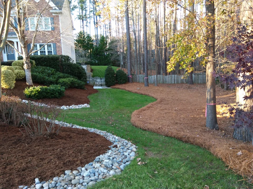Green lawn and curving mulch beds beneath mature trees